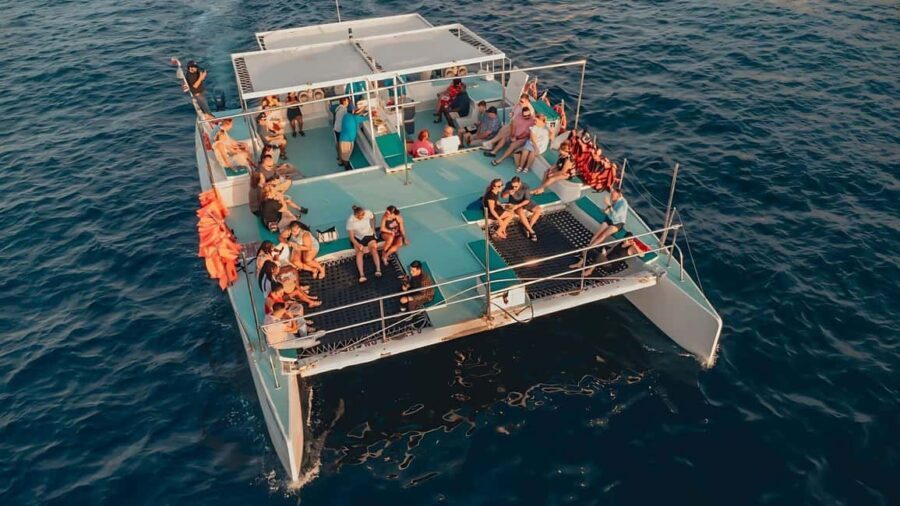 Los Cabos Party Catamaran: Snorkeling, Open Bar & Music Fun - Why This Tour Stands Out