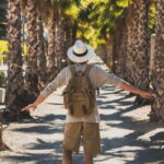 Los Cabos: San Jose del Cabo and Cabo San Lucas Tour - Exploring the Detailed Itinerary