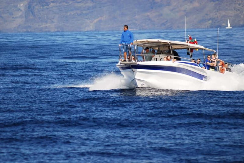 Los Gigantes: Whale or dolphin watching and swimming tour in Masca - Why This Tour Is a Great Choice