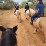 Loulé: Guided Horse Riding in the Hills of salir - Who Will Love This Tour?