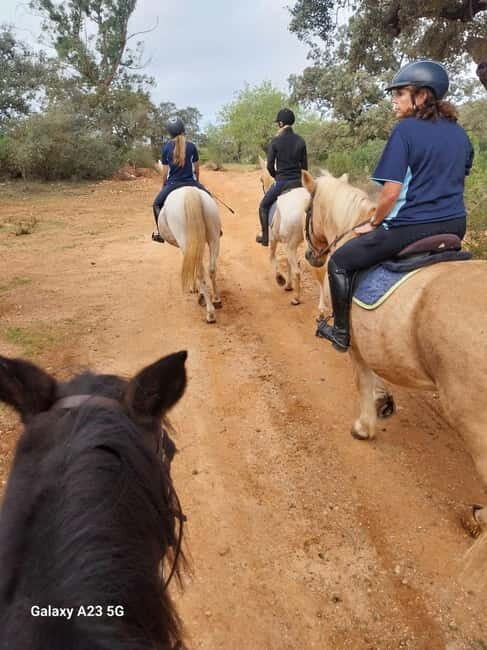 Loulé: Guided Horse Riding in the Hills of salir - Who Will Love This Tour?
