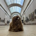 Louvre: All the stars of museum - Private guided 3h tour & entry - Frequently Asked Questions