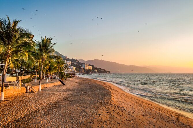Love on the Boardwalk in Puerto Vallarta - Private - Practical Details & What to Expect