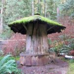 Love the Land Indigenous Walking Tour Capilano River Hatchery - Exploring the Itinerary in Detail