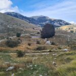 Loven with E-bike Serpentine Road to Kotor Cable Car - What Makes This Tour a Great Deal?