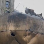 Lower Manhattan revealed - Authentic Insights from Past Participants