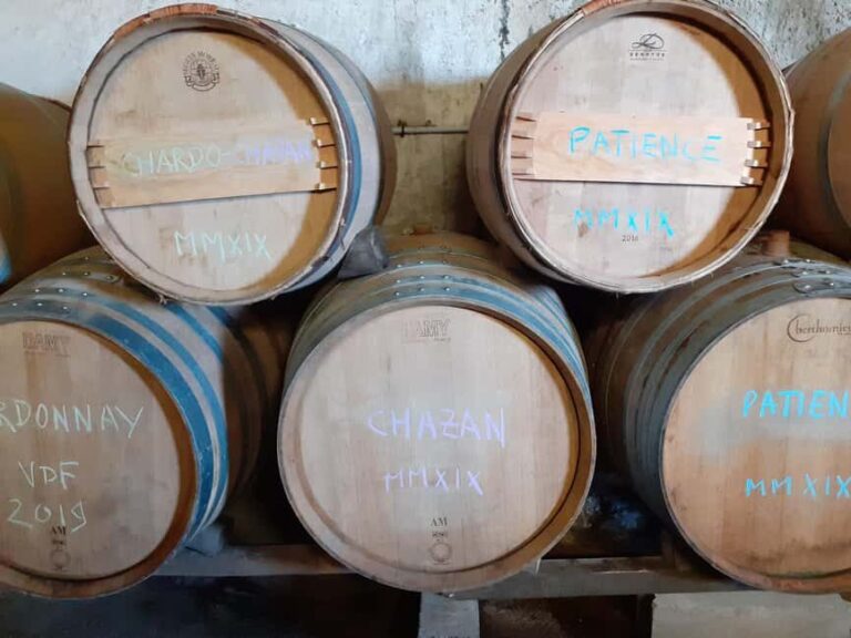 Luberon: cellar tour and wine tasting with commentary by an oenologist - Final Thoughts