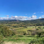 Luberon: themed bee-keeping bike rides with a local guide - Good To Know