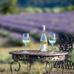 Luberon: Vineyard Tour and Wine Tasting - The Itinerary: What to Expect on Your Day Out