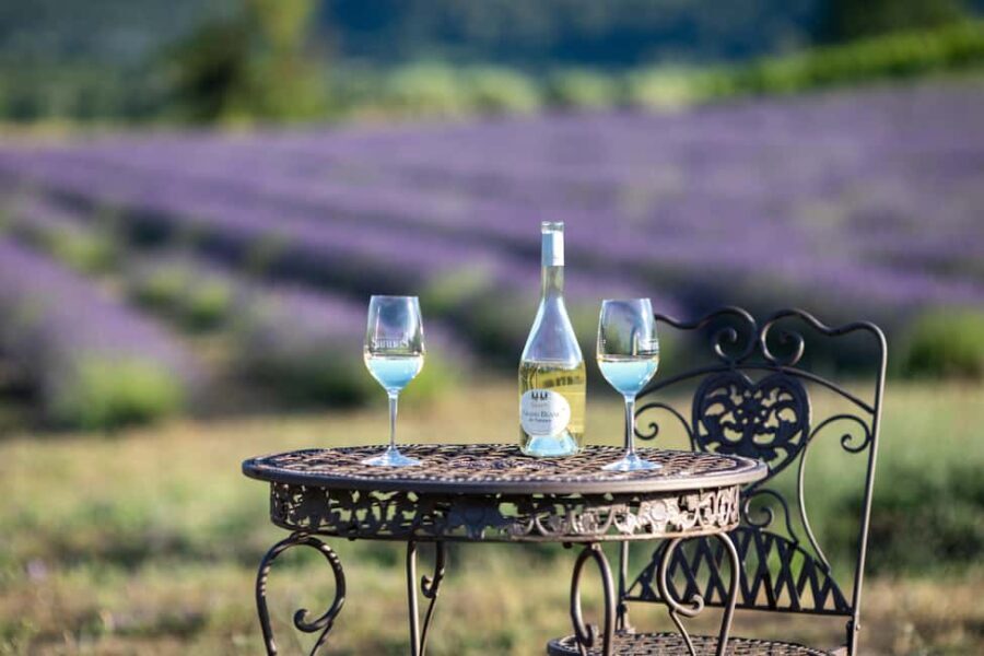 Luberon: Vineyard Tour and Wine Tasting - The Itinerary: What to Expect on Your Day Out