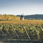 Luberon: visite de la Vigne au Verre et dégustations - Discovering the Heart of Luberon’s Wine Culture
