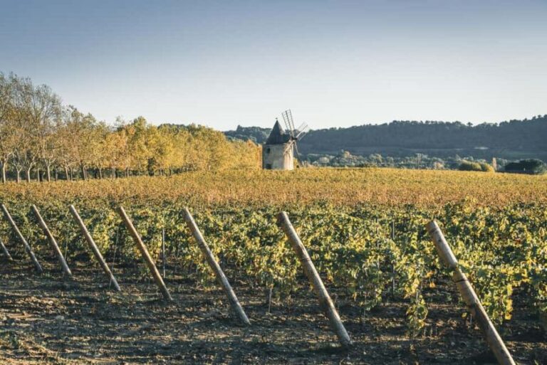 Luberon: visite de la Vigne au Verre et dégustations - Discovering the Heart of Luberon’s Wine Culture