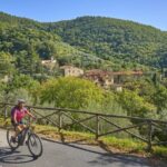 Lucca to Pisa PRIVATE E-Bike Tour + Pick Up & Drop Off - Why This Tour Offers Great Value