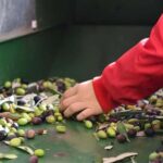 Lucinasco: a journey through flavors and traditions. Guided visit to the village. - Practical Details and Value