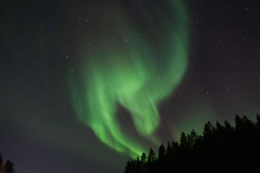 Lulea: Northern Lights Hunt by Car with Transfer - Good To Know