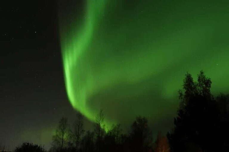 Luleå: Northern Lights Snowshoeing Tour - Who Should Consider This Tour?