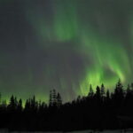 Luleå: Northern Lights Tour by Car with Guide - Who Should Book This Tour?
