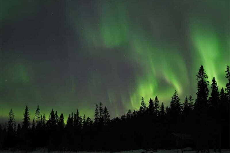 Luleå: Northern Lights Tour by Car with Guide - Who Should Book This Tour?