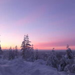 Luleå: snowshoeing in pristine nature with an expert guide! - Who Will Love This Tour?