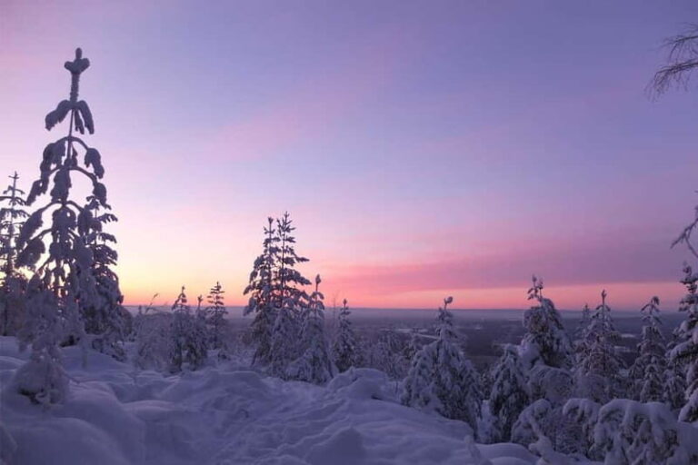 Luleå: snowshoeing in pristine nature with an expert guide! - Who Will Love This Tour?
