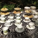 Lunch & Nature experience at Cumberland Bird of Prey Centre - Final Thoughts