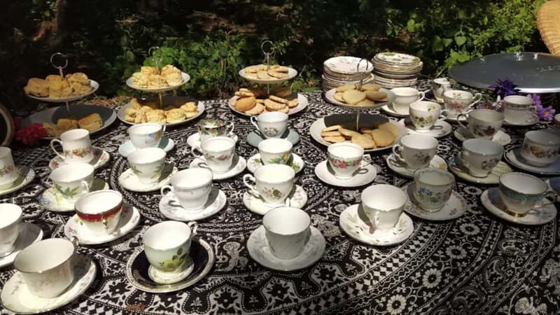 Lunch & Nature experience at Cumberland Bird of Prey Centre - Final Thoughts