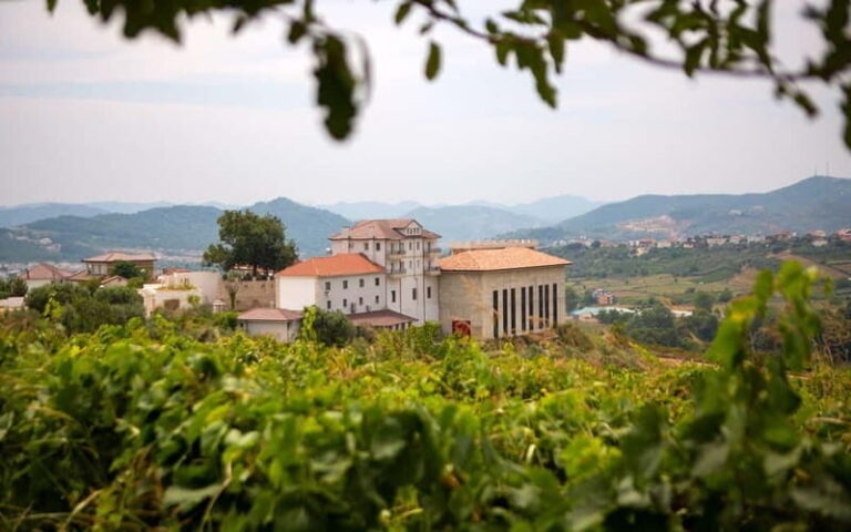 Lundër: Lundra Winery Guided Tour with Wine Tasting - What to Expect from the Lundra Winery Tour