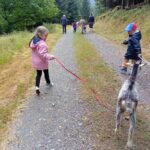 Luvigny: an unusual getaway with donkeys and goats - The Value and Cost