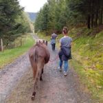 Luvigny: Donkey discovery walk - Why This Experience Is Worth Considering