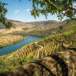 Luxurious Daytrip Lisbon to Douro Valley with Optional Stops - Good To Know