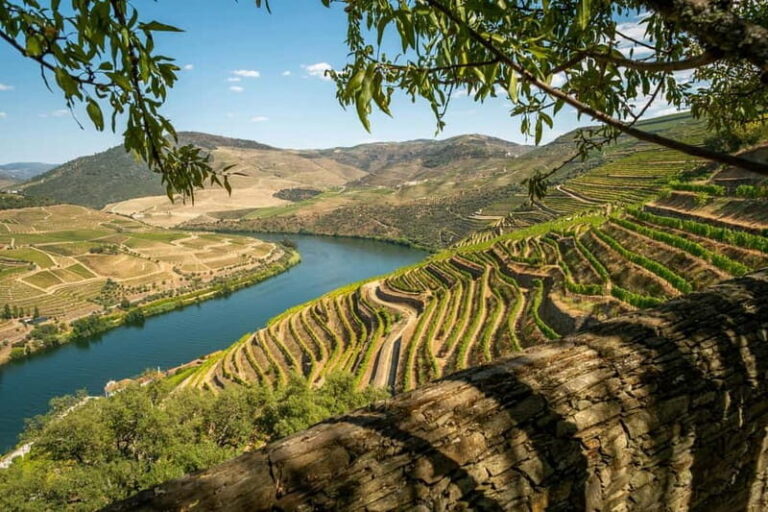 Luxurious Daytrip Lisbon to Douro Valley with Optional Stops - Good To Know