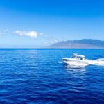 Luxury 6 passenger Boston Whaler Private Charter - Who Would Love This Experience?