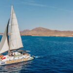 Luxury Private Half-Day Catamaran Charter in Lanzarote - Why Reviewers Love This Cruise