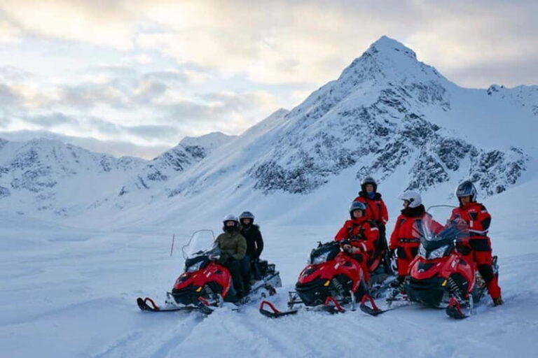 Lyngen Alps: Snowmobile Safari in the Arctic Wilderness - Value and Practicality