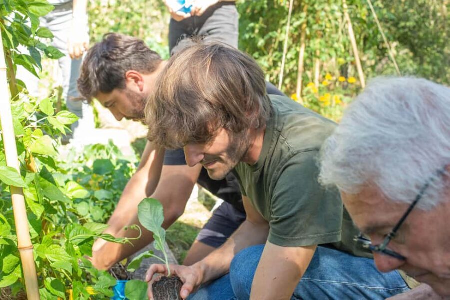 Lyon: Countryside Food Tour and Cooking Class with a Chef - The Practicalities: What to Expect