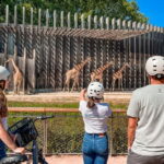 Lyon: Tête d'Or park on an electric bike Tour - The Practical Side: What to Expect