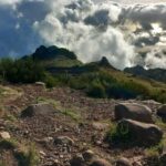 Madeira 4x4 Jeep Safari: Porto Moniz, Lava Pools & Fanal - Practical Tips for Booking and Participation