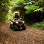 Madeira: Aventura Off-Road de ATV ou Quad - Adrenalina - Final Thoughts: Is It Worth It?