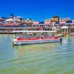 Madeira Beach: Guided Dolphin Watching Eco-Friendly Cruise - Why This Tour Stands Out