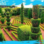 Madeira: Botanical Gardens + Old Town Tuk-Tuk Tour by MadTuk - The Practicalities: What You Need to Know