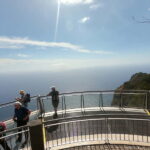 Madeira: Cabo Girão, Wines Experience and Dolphins Watching - Why This Tour Is Worth Considering