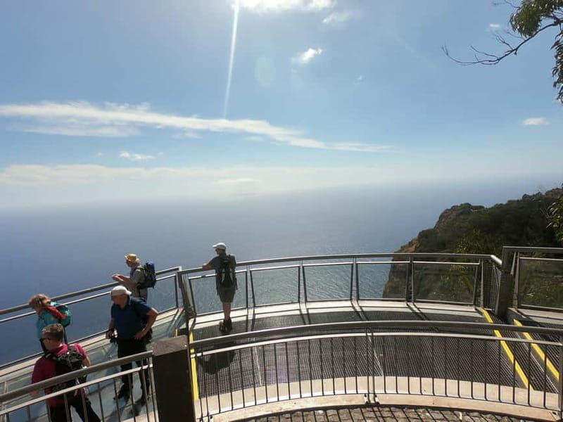 Madeira: Cabo Girão, Wines Experience and Dolphins Watching - Why This Tour Is Worth Considering