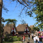 Madeira: East Coast Cabriolet Road Trip - What to Expect & Practical Tips