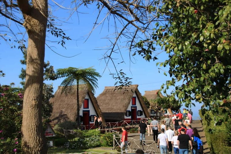 Madeira: East Coast Cabriolet Road Trip - What to Expect & Practical Tips