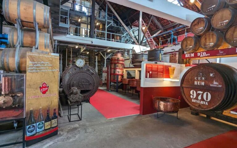 Madeira East Express: Ponta de São Lourenço and Villages - Detailed Breakdown of the Itinerary