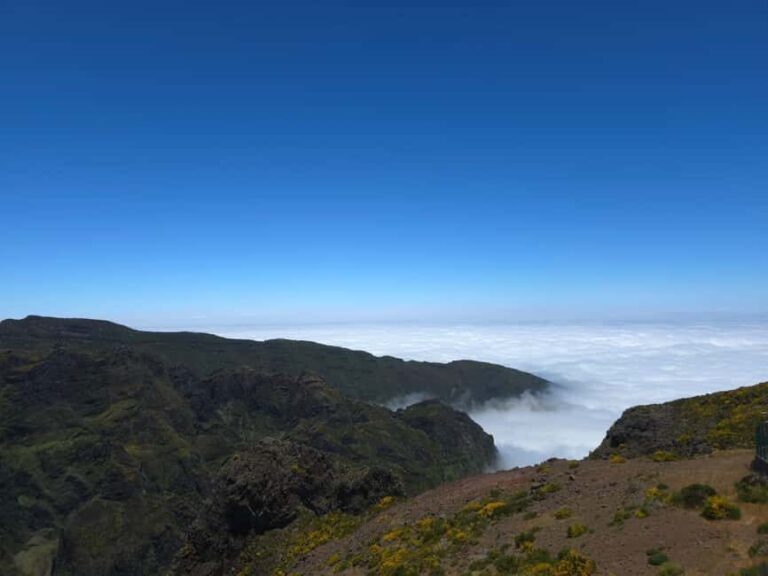 Madeira: East Island Tour with Rum Tasting - What to Expect on the Tour