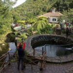 Madeira: Go East Island Tour - Practical Details and What to Expect