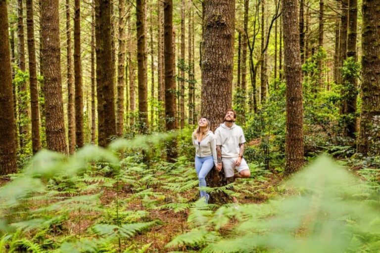 Madeira: Half-Day Guided Photo Tour - An In-Depth Look at the Madeira Photo Tour