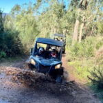 Madeira: Half-Day Off-Road Buggy Tour - What the Tour Looks Like: A Detailed Breakdown