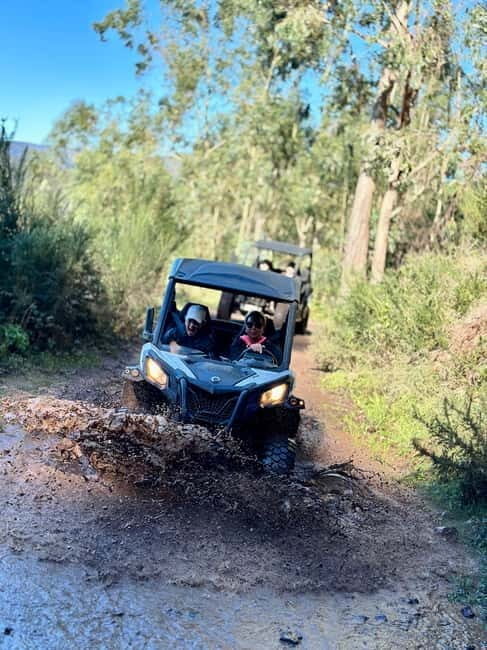 Madeira: Half-Day Off-Road Buggy Tour - What the Tour Looks Like: A Detailed Breakdown